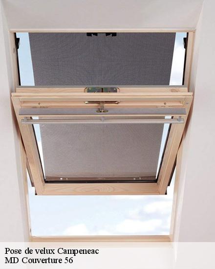 Pose de velux  campeneac-56800 MD Couverture 56